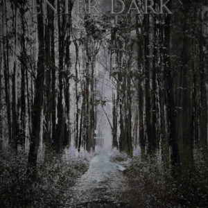 Web novel - Enter Dark Chapters 1-4