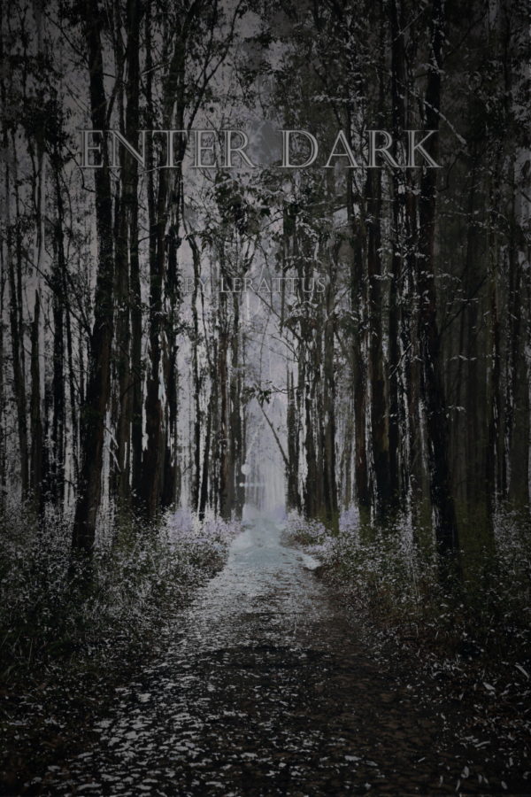 Web novel - Enter Dark Chapters 1-4
