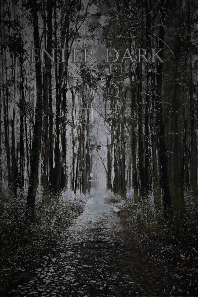 web novel Enter Dark chapter 1-4 cover picture